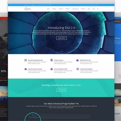Elegant-Themes-Divi-WordPress-Theme.jpg